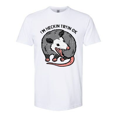 Opossum Im Heckin Tryin Ok Possum S.T.R.E.E.T Cat Softstyle CVC T-Shirt