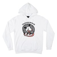 Opossum Im Heckin Tryin Ok Possum S.T.R.E.E.T Cat Hoodie