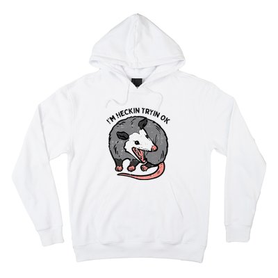 Opossum Im Heckin Tryin Ok Possum S.T.R.E.E.T Cat Hoodie