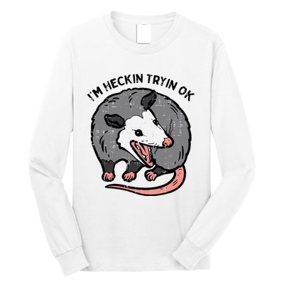 Opossum Im Heckin Tryin Ok Possum S.T.R.E.E.T Cat Long Sleeve Shirt