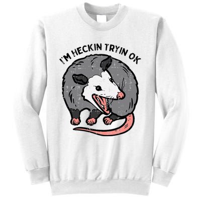 Opossum Im Heckin Tryin Ok Possum S.T.R.E.E.T Cat Sweatshirt