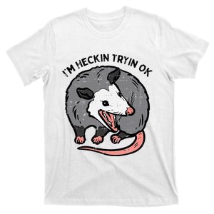 Opossum Im Heckin Tryin Ok Possum S.T.R.E.E.T Cat T-Shirt