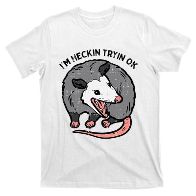 Opossum Im Heckin Tryin Ok Possum S.T.R.E.E.T Cat T-Shirt