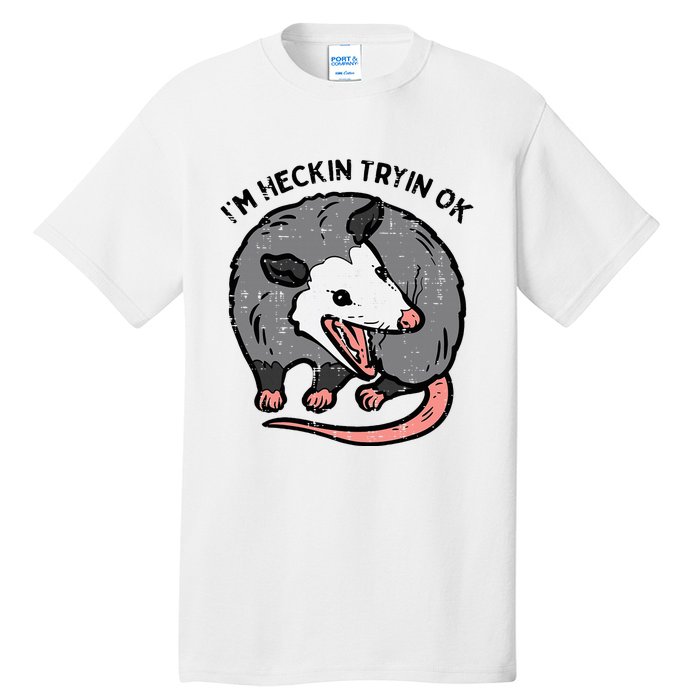 Opossum Im Heckin Tryin Ok Possum S.T.R.E.E.T Cat Tall T-Shirt