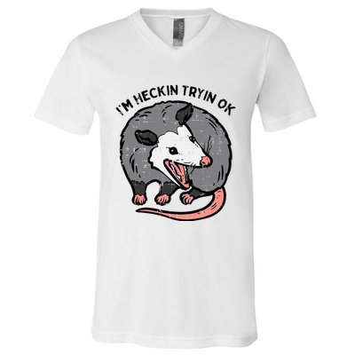 Opossum Im Heckin Tryin Ok Possum S.T.R.E.E.T Cat V-Neck T-Shirt