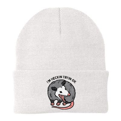 Opossum Im Heckin Tryin Ok Possum S.T.R.E.E.T Cat Knit Cap Winter Beanie