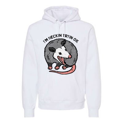 Opossum Im Heckin Tryin Ok Possum S.T.R.E.E.T Cat Premium Hoodie