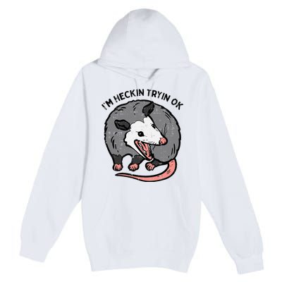 Opossum Im Heckin Tryin Ok Possum S.T.R.E.E.T Cat Premium Pullover Hoodie