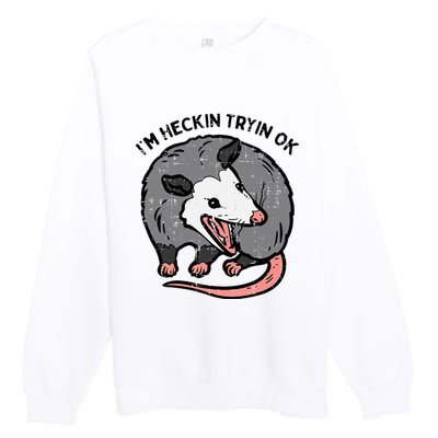 Opossum Im Heckin Tryin Ok Possum S.T.R.E.E.T Cat Premium Crewneck Sweatshirt