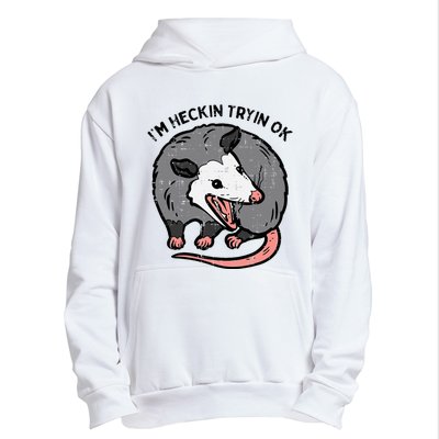 Opossum Im Heckin Tryin Ok Possum S.T.R.E.E.T Cat Urban Pullover Hoodie