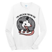 Opossum Im Heckin Tryin Ok Possum S.T.R.E.E.T Cat Tall Long Sleeve T-Shirt