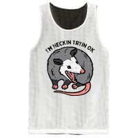 Opossum Im Heckin Tryin Ok Possum S.T.R.E.E.T Cat Mesh Reversible Basketball Jersey Tank