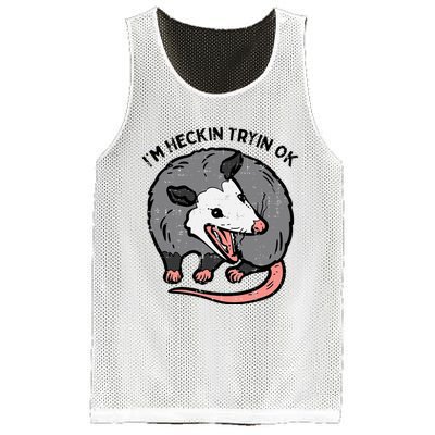 Opossum Im Heckin Tryin Ok Possum S.T.R.E.E.T Cat Mesh Reversible Basketball Jersey Tank