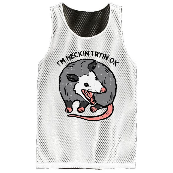 Opossum Im Heckin Tryin Ok Possum S.T.R.E.E.T Cat Mesh Reversible Basketball Jersey Tank