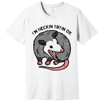 Opossum Im Heckin Tryin Ok Possum S.T.R.E.E.T Cat Premium T-Shirt