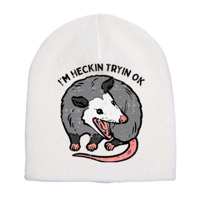 Opossum Im Heckin Tryin Ok Possum S.T.R.E.E.T Cat Short Acrylic Beanie