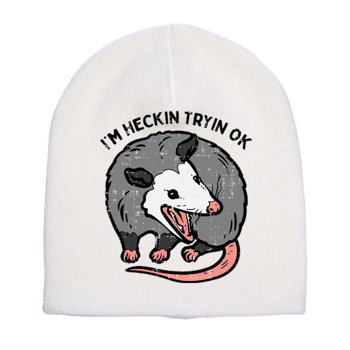 Opossum Im Heckin Tryin Ok Possum S.T.R.E.E.T Cat Short Acrylic Beanie