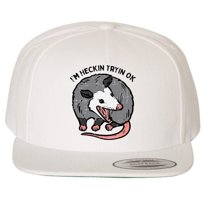 Opossum Im Heckin Tryin Ok Possum S.T.R.E.E.T Cat Wool Snapback Cap