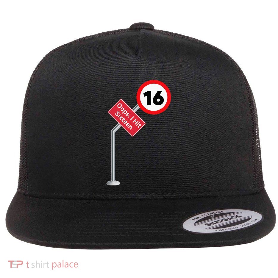 Oops I Hit Sixteen Funny 16th Birthday Boy Girl New Drivers Flat Bill Trucker Hat
