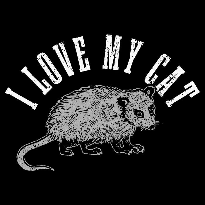 Opossum I Love My Cat Funny Opossum Short Acrylic Beanie