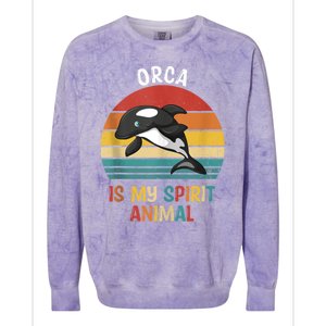 Orca Is My Spirit Animal Funny Orca Lover Colorblast Crewneck Sweatshirt