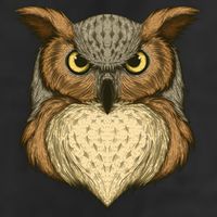 Owl Illustration Cool Comfort Performance Bucket Hat