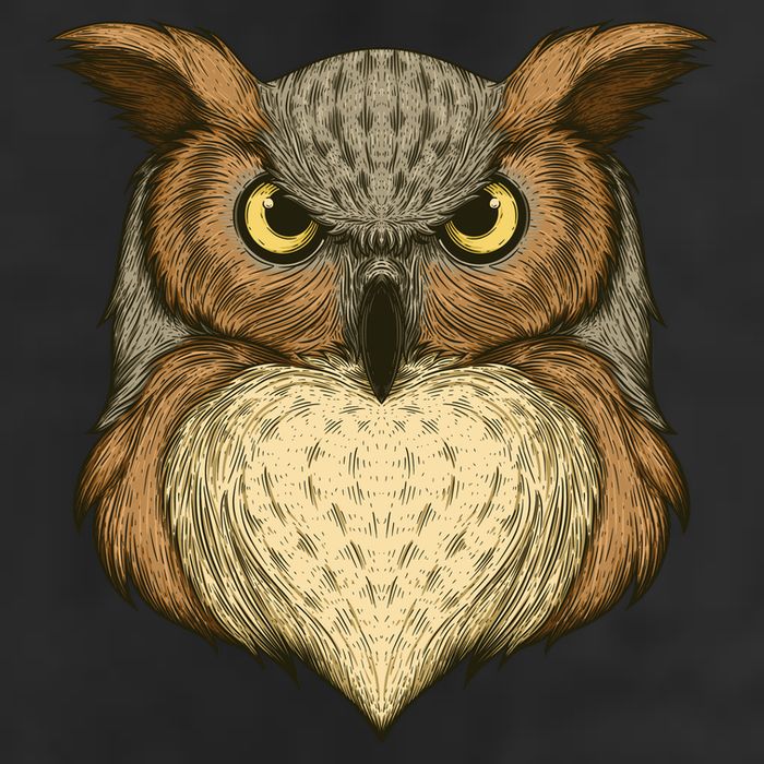 Owl Illustration Adult Drive Performance Visor