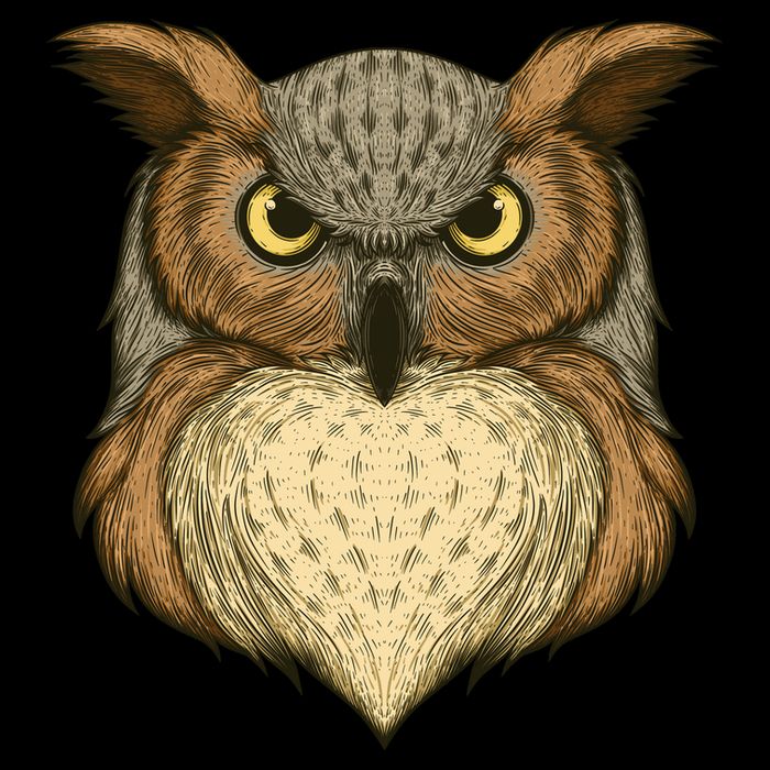 Owl Illustration Premium T-Shirt