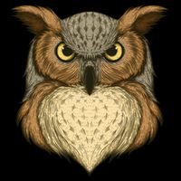 Owl Illustration Zip Tote Bag