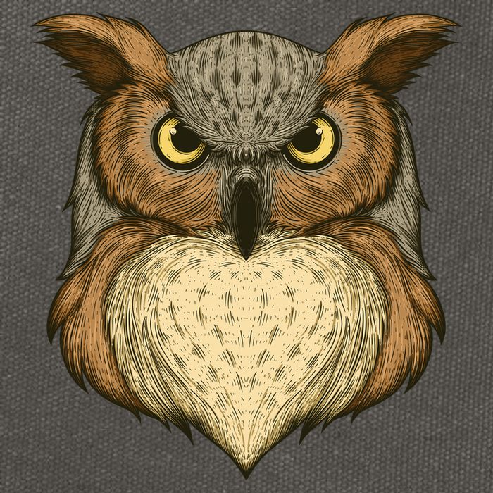 Owl Illustration Cotton Canvas Backpack