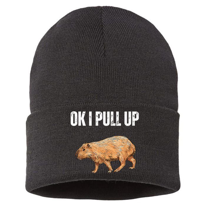 Ok I Pull Up Capybara Shirt Funny Capybara Meme Ok I Pull Up Sustainable Knit Beanie