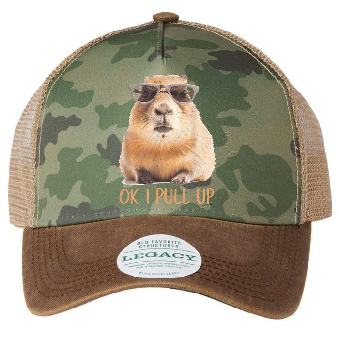 Ok I Pull Up Capybara Legacy Tie Dye Trucker Hat