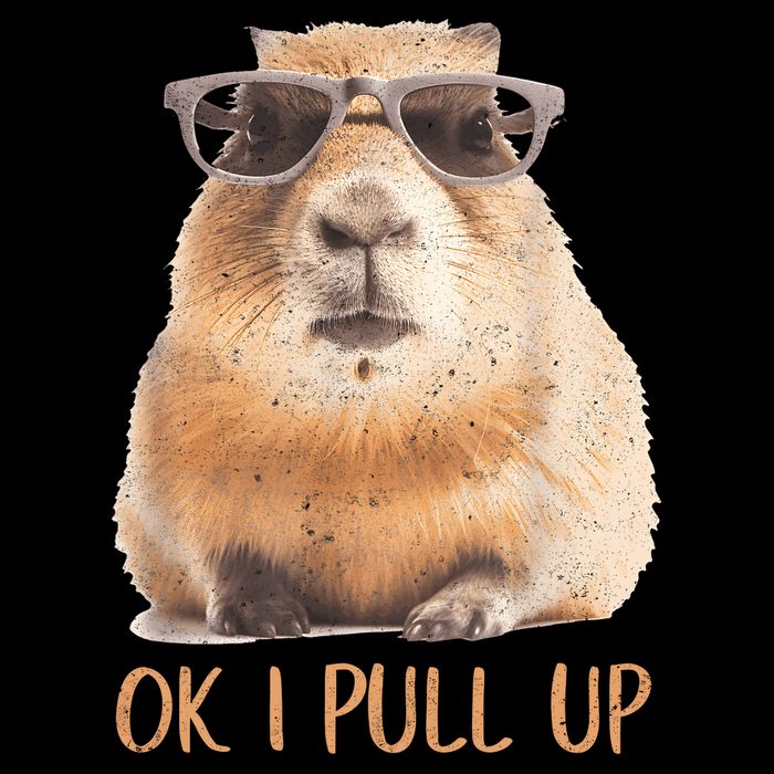 Ok I Pull Up Capybara Bucket Hat