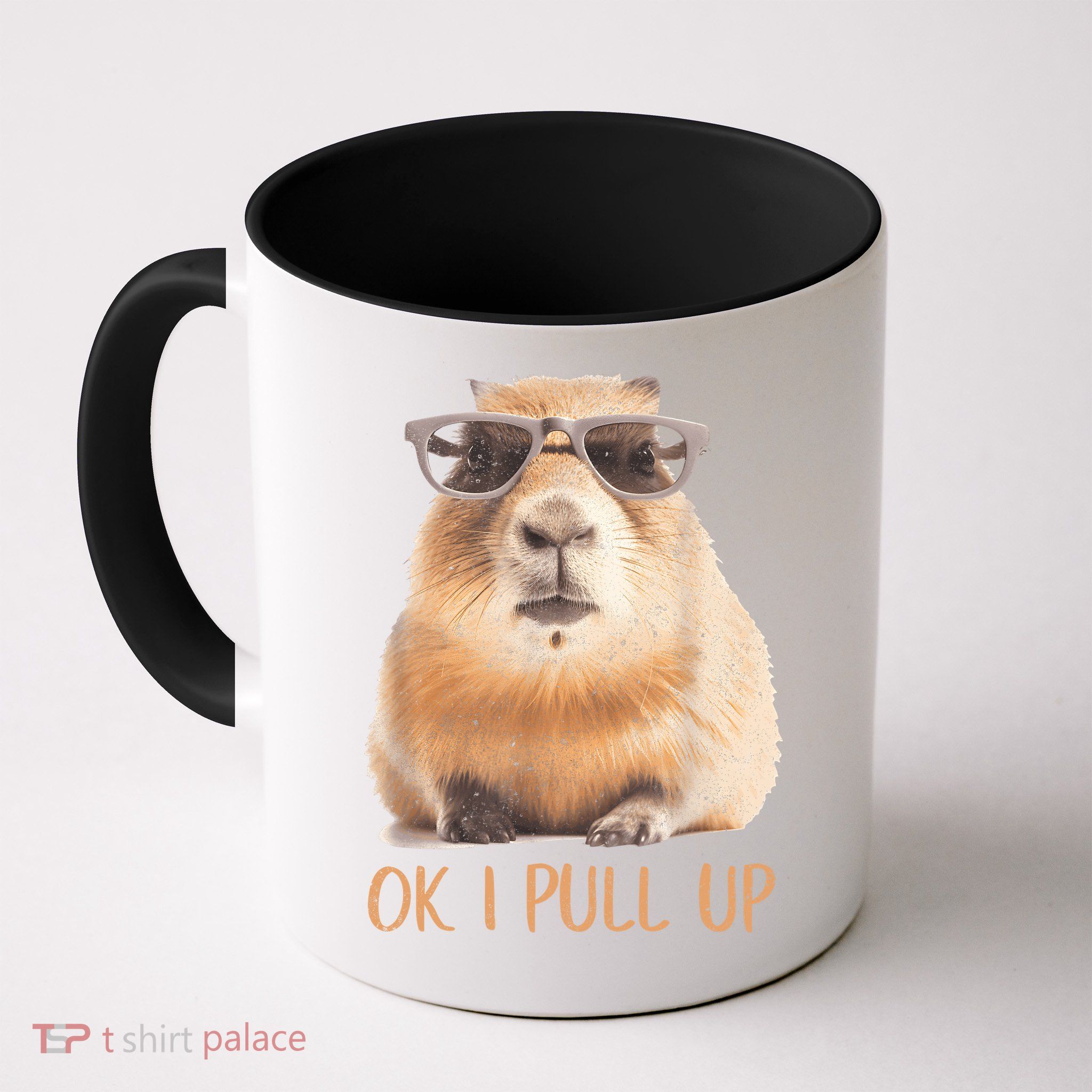 Ok I Pull Up Capybara Mug