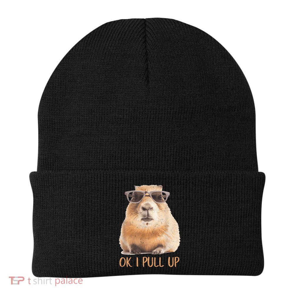 Ok I Pull Up Capybara Beanie