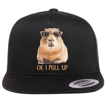 Ok I Pull Up Capybara Flatbill Hat