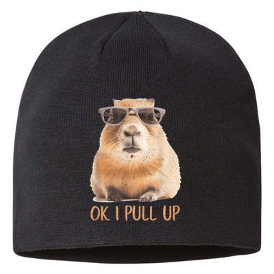 Ok I Pull Up Capybara Sustainable Beanie