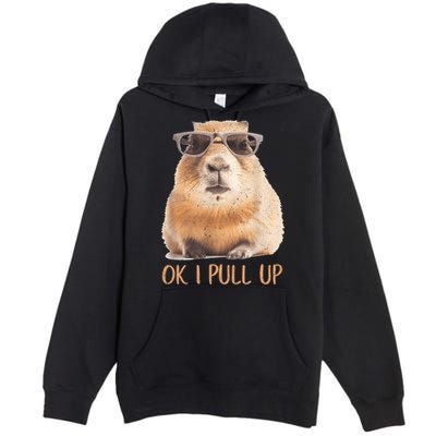 Ok I Pull Up Capybara Premium Pullover Hoodie