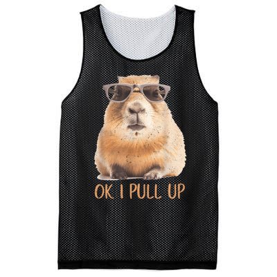 Ok I Pull Up Capybara Mesh Reversible Basketball Jersey Tank