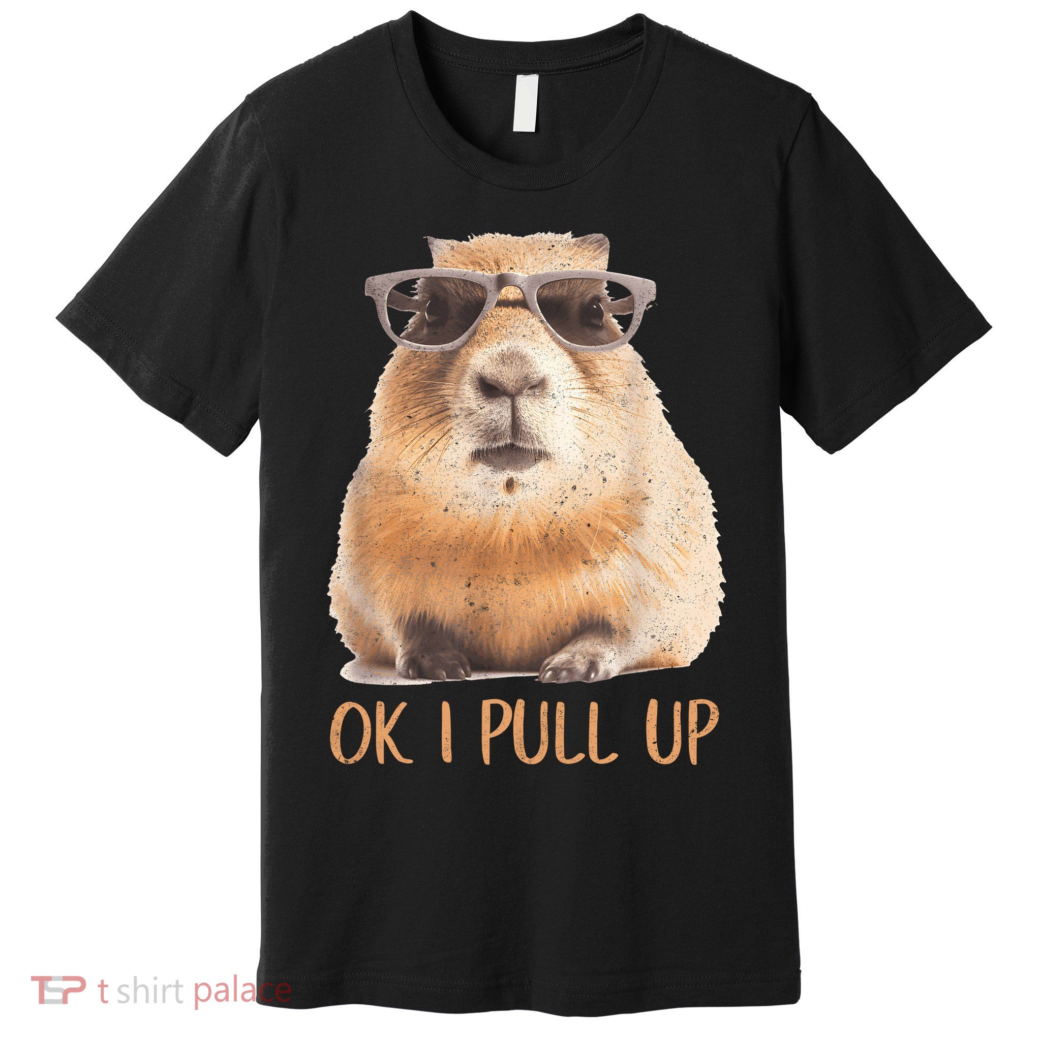 Ok I Pull Up Capybara Premium T-Shirt