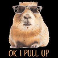Ok I Pull Up Capybara Pom Pom 12in Knit Beanie