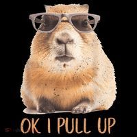 Ok I Pull Up Capybara Tank Top