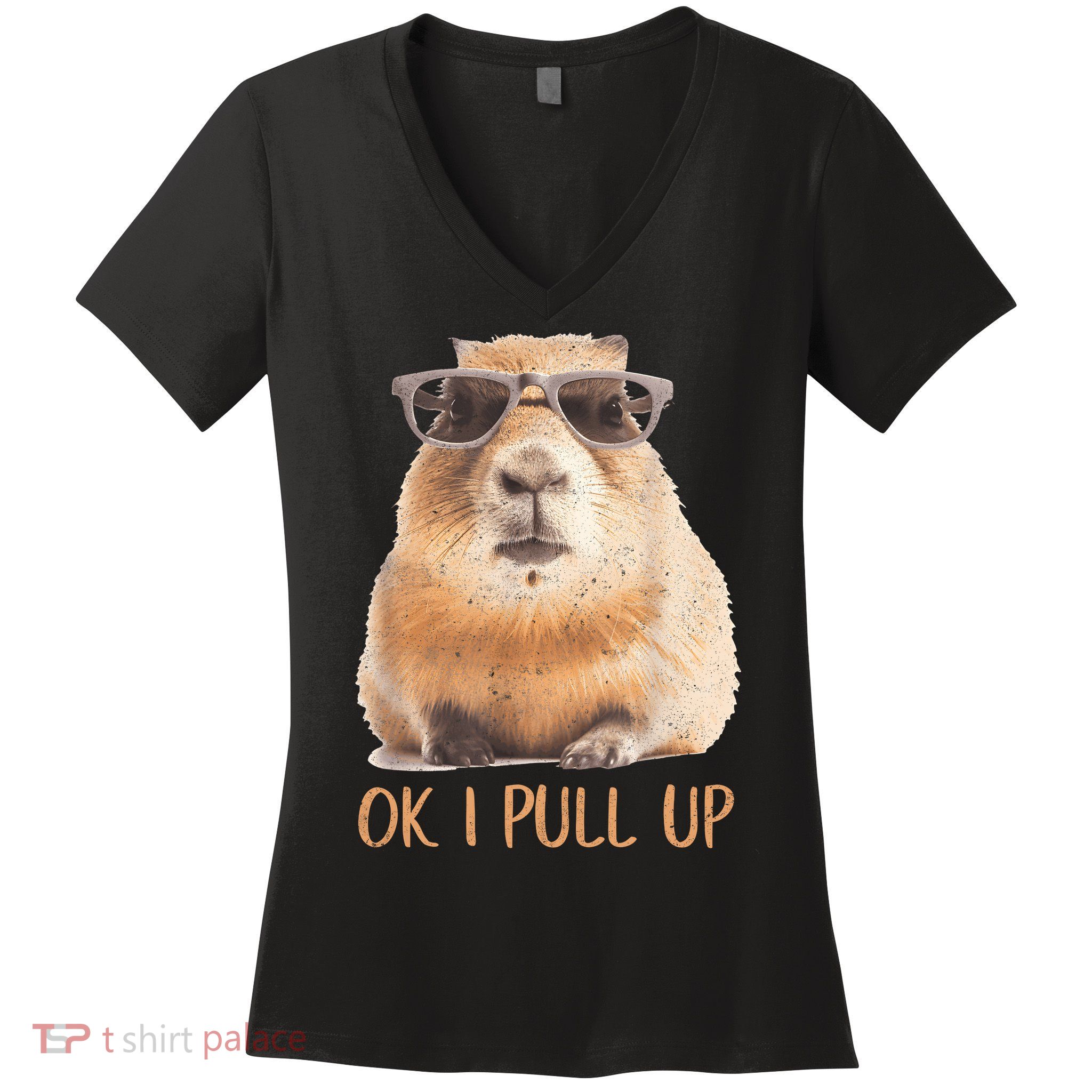 Ok I Pull Up Capybara Women's V-Neck T-Shirt