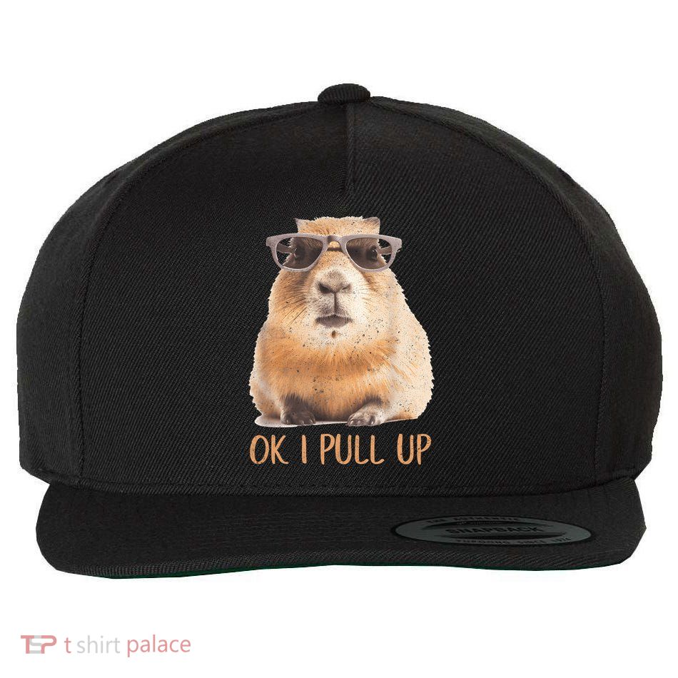 Ok I Pull Up Capybara Wool Snapback Cap