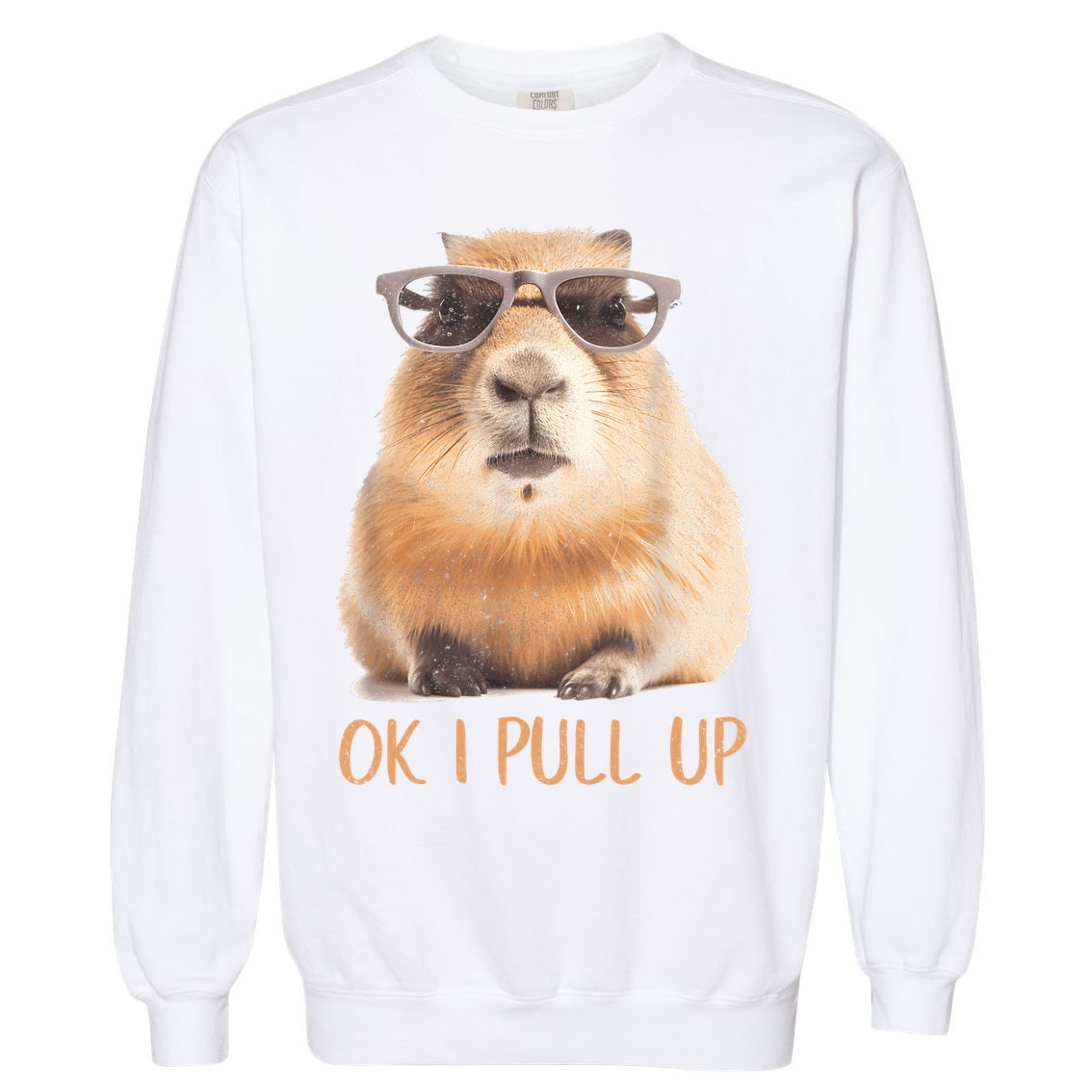 Ok I Pull Up Capybara Garment-Dyed Sweatshirt