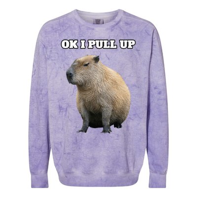 Ok I Pull Up Capybara Colorblast Crewneck Sweatshirt