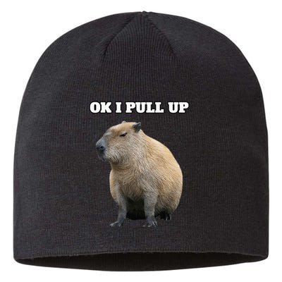 Ok I Pull Up Capybara Sustainable Beanie