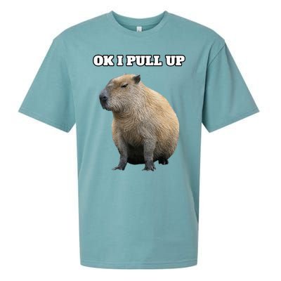 Ok I Pull Up Capybara Sueded Cloud Jersey T-Shirt