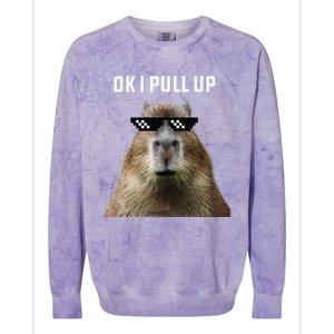 Ok I Pull Up Capybara Colorblast Crewneck Sweatshirt