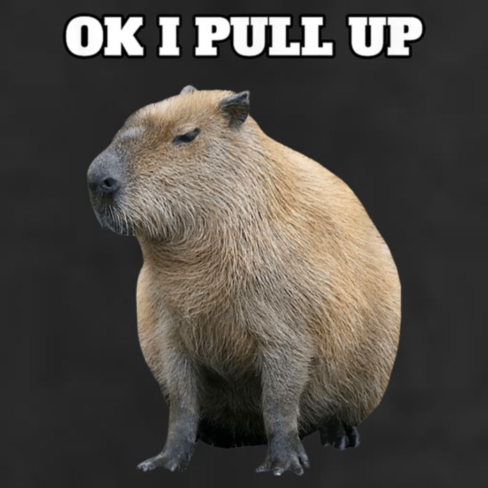 Ok I Pull Up Capybara 7 Panel Mesh Trucker Snapback Hat